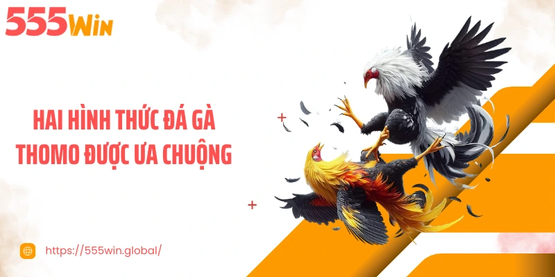 Hai hình thức đá gà Thomo được ưa chuộng