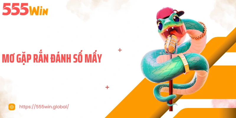 Mơ Gặp Rắn Đánh Số Mấy - Chuyên Gia 555WIN Giải Mã Chi Tiết